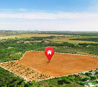 AI Consulting, Data Solutions & Process Automation in Agriculture