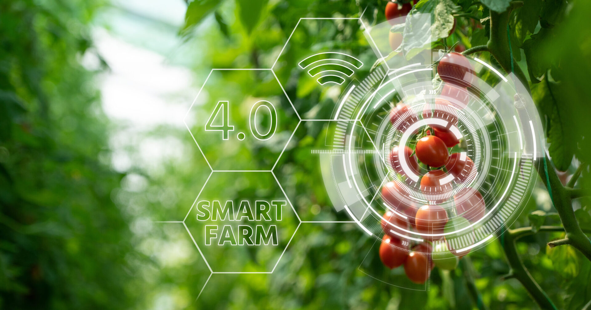 Improve Agricultural Output with AI