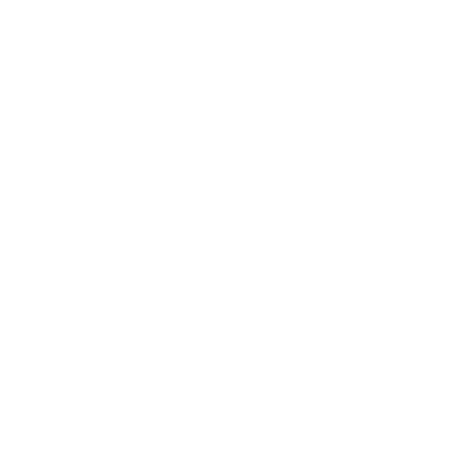 AI Consulting, Data Solutions & Process Automation